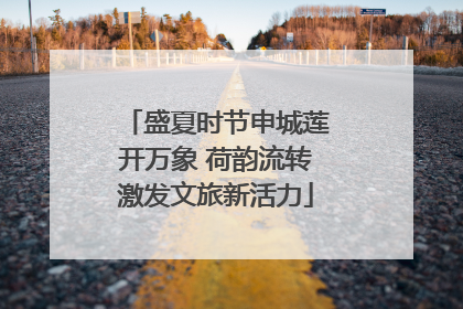 盛夏时节申城莲开万象 荷韵流转激发文旅新活力