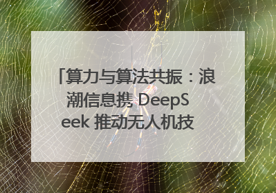 算力与算法共振：浪潮信息携 DeepSeek 推动无人机技术在舟山落地