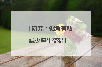 研究：锯角有助减少犀牛盗猎