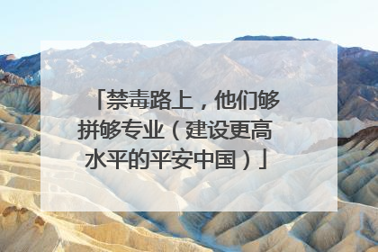 禁毒路上，他们够拼够专业（建设更高水平的平安中国）