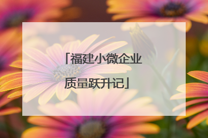 福建小微企业质量跃升记