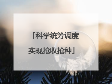 科学统筹调度实现抢收抢种