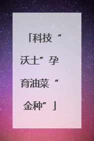 科技“沃土”孕育油菜“金种”
