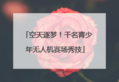 空天逐梦！千名青少年无人机赛场秀技