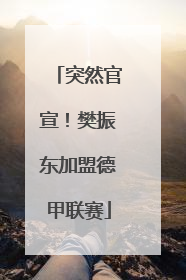 突然官宣！樊振东加盟德甲联赛