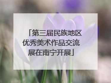 第三届民族地区优秀美术作品交流展在南宁开展