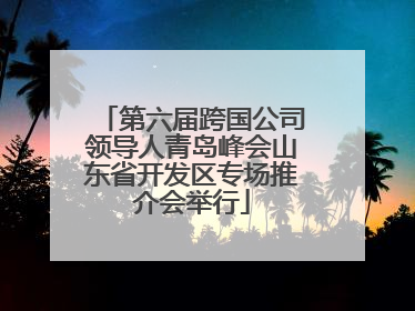第六届跨国公司领导人青岛峰会山东省开发区专场推介会举行