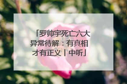 罗帅宇死亡六大异常待解：有真相才有正义丨中听