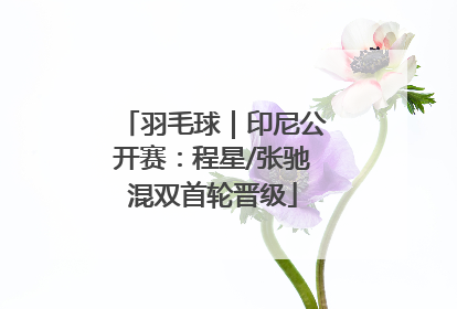 羽毛球｜印尼公开赛：程星/张驰混双首轮晋级