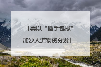 美以“插手包揽”加沙人道物资分发