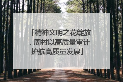 精神文明之花绽放，周村以高质量审计护航高质量发展