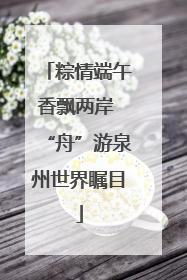 粽情端午香飘两岸 “舟”游泉州世界瞩目