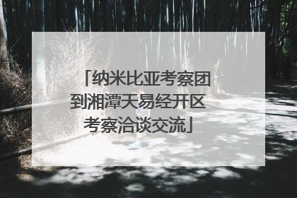 纳米比亚考察团到湘潭天易经开区考察洽谈交流