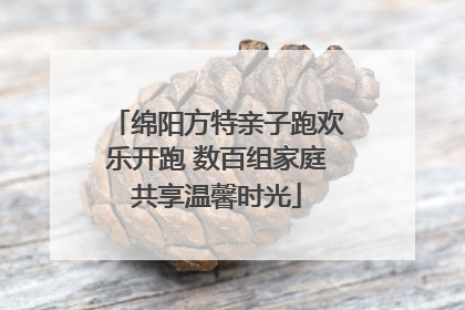绵阳方特亲子跑欢乐开跑 数百组家庭共享温馨时光