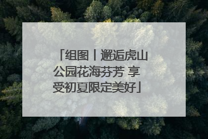 组图丨邂逅虎山公园花海芬芳 享受初夏限定美好