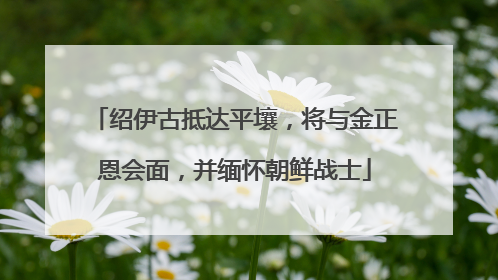 绍伊古抵达平壤，将与金正恩会面，并缅怀朝鲜战士