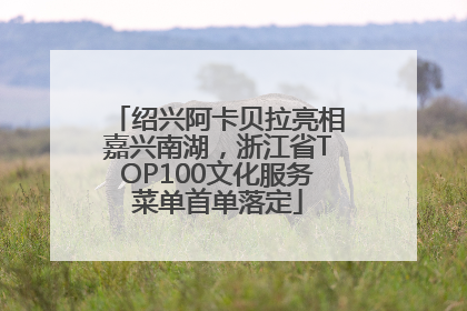 绍兴阿卡贝拉亮相嘉兴南湖，浙江省TOP100文化服务菜单首单落定