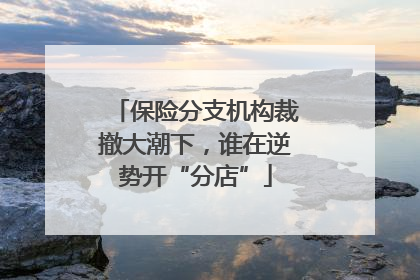 保险分支机构裁撤大潮下，谁在逆势开“分店”