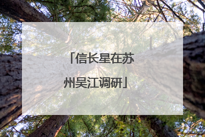 信长星在苏州吴江调研