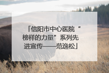 信阳市中心医院“榜样的力量”系列先进宣传——范逸松