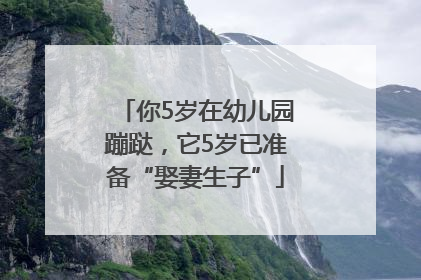 你5岁在幼儿园蹦跶，它5岁已准备“娶妻生子”