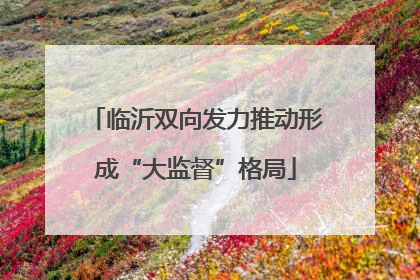 临沂双向发力推动形成“大监督”格局