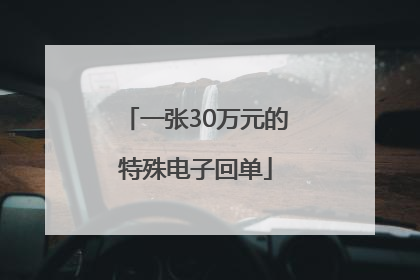 一张30万元的特殊电子回单