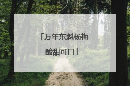 万年东魁杨梅 酸甜可口