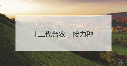 三代台农，接力种下“甜蜜事业”