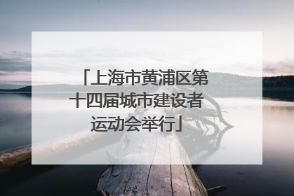 上海市黄浦区第十四届城市建设者运动会举行
