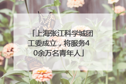 上海张江科学城团工委成立，将服务40余万名青年人