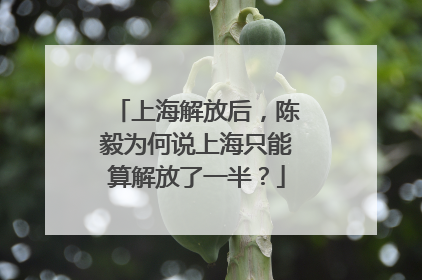 上海解放后，陈毅为何说上海只能算解放了一半？