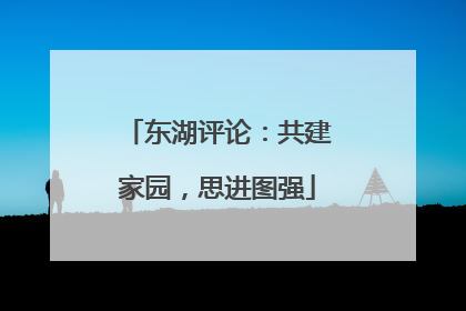 东湖评论：共建家园，思进图强