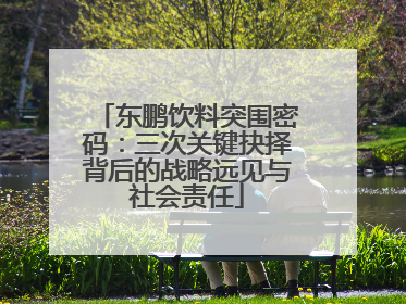 东鹏饮料突围密码：三次关键抉择背后的战略远见与社会责任