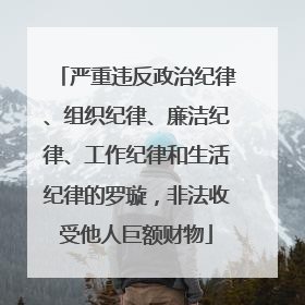 严重违反政治纪律、组织纪律、廉洁纪律、工作纪律和生活纪律的罗璇，非法收受他人巨额财物