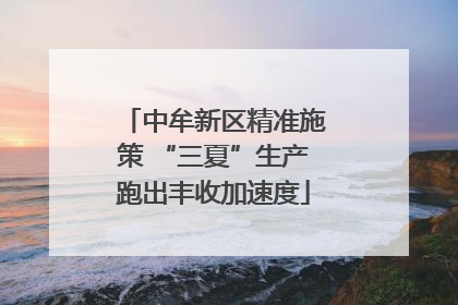 中牟新区精准施策 “三夏”生产跑出丰收加速度