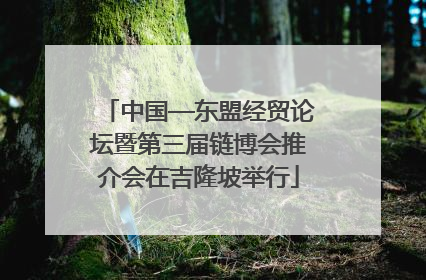 中国—东盟经贸论坛暨第三届链博会推介会在吉隆坡举行