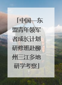 中国—东盟青年领军者成长计划研修班赴柳州三江多地研学考察