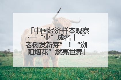 中国经济样本观察·一“业”成名丨“老树发新芽”！“浏阳烟花”燃亮世界