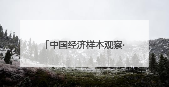 中国经济样本观察·一“业”成名｜真有两把刷子！“刷”出30亿级“颜值经济”