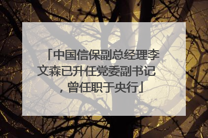 中国信保副总经理李文森已升任党委副书记，曾任职于央行