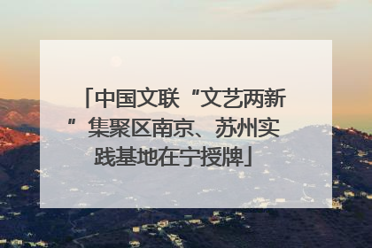 中国文联“文艺两新”集聚区南京、苏州实践基地在宁授牌