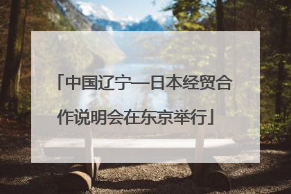 中国辽宁—日本经贸合作说明会在东京举行