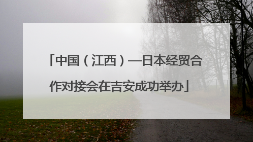 中国（江西）—日本经贸合作对接会在吉安成功举办
