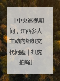 中央巡视期间，江西多人主动向组织交代问题｜打虎拍蝇