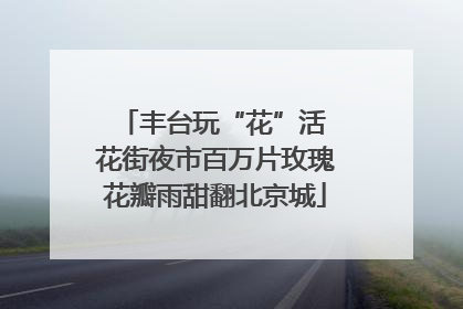 丰台玩“花”活 花街夜市百万片玫瑰花瓣雨甜翻北京城