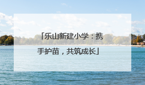乐山新建小学：携手护苗，共筑成长
