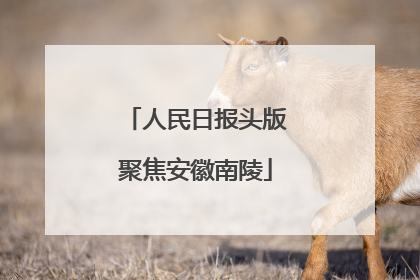 人民日报头版聚焦安徽南陵