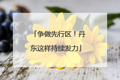 争做先行区！丹东这样持续发力