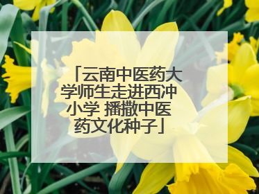 云南中医药大学师生走进西冲小学 播撒中医药文化种子